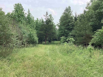 1006 Hempstead 24 Rd, Blevins, AR 71825 - photo 5