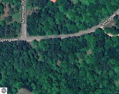 1617 Springdale, Lakes of the North, MI 49730 - photo 4