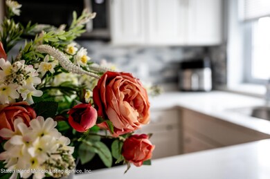 65 Elmwood Park Dr unit 10, Staten Island, NY 10314 - photo 5