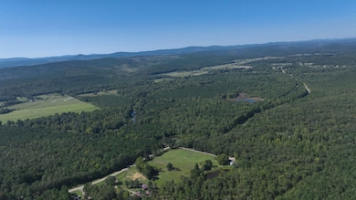 Highway 314, Plainview, AR 72857 - photo 2