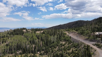 DJI_0084