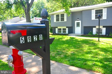 5920 Peregrine Dr, Burke, VA 22015 - photo 6