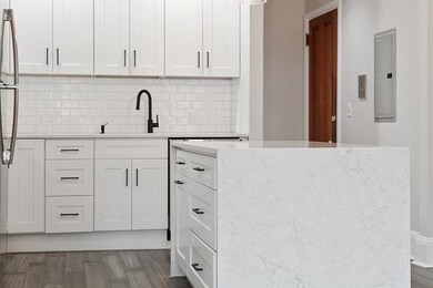 96 W Concord St unit 2, Boston, MA 02118 - photo 3