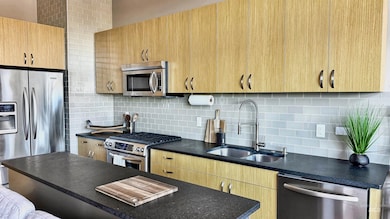 419 S 8th St unit 301, Boise, ID 83702 - photo 7