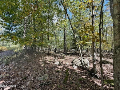 0 Paper Birch Rd N, Tafton, PA 18464 - photo 7