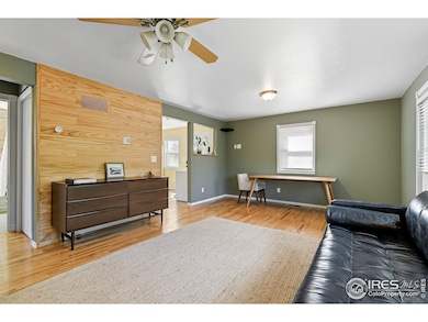 342 4th Ave, Lyons, CO 80540 - photo 5