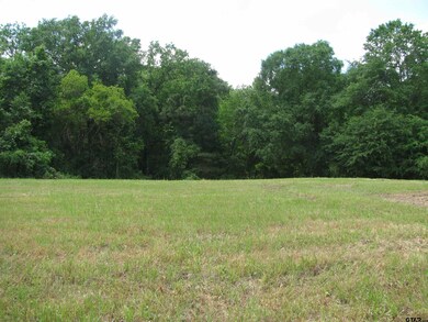 5815 Covey Ln, Tyler, TX 75703 - photo 3