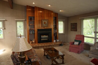 Living Room - Fireplace