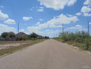 lot 7 Lo Ma Dr, Donna, TX 78537 - photo 3