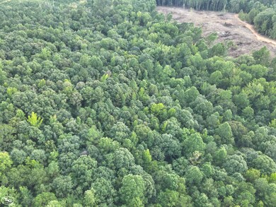 0 Martin Luther King Hwy, Eutaw, AL 35462 - photo 6