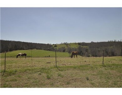 16951 Dripping Springs, West Fork, AR 72774 - photo 6