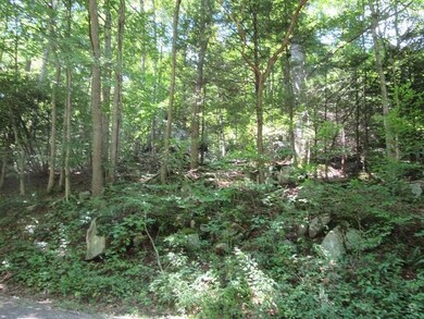 Wooded Acreage