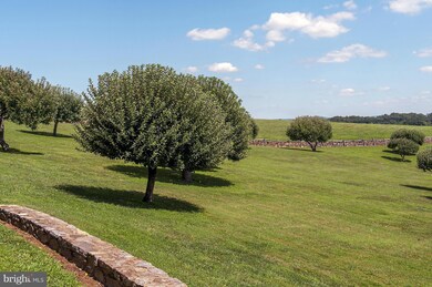 5170 Oak Spring Rd, Upperville, VA 20184 - photo 6