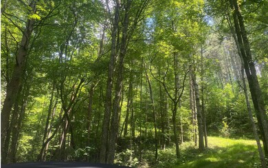 Additional View