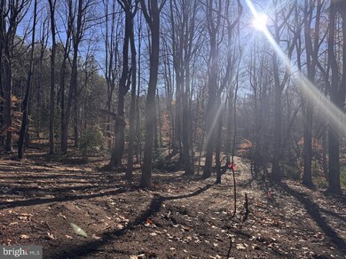 5260 Sheridan Point Rd, Prince Frederick, MD 20678 - photo 7