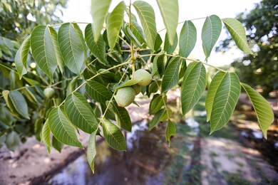 BDFA91A7-DA45-452A-A20F-66195896E9FB