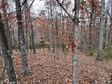 TBD Banks Rd, Hardy, AR 72542 - photo 6
