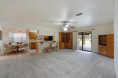 14099 County Road 282, Alvin, TX 77511 - photo 7