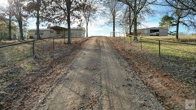 1009 County Road 4347, Bivins, TX 75555 - photo 6