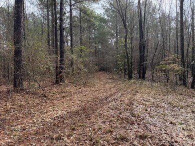 918a Auburn Dr SW, Bogue Chitto, MS 39629 - photo 5