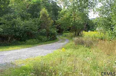 457 Coy Rd, Greenfield Center, NY 12833 - photo 5