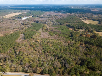 0 80 8 Acres, Carthage, MS 39051 - photo 2