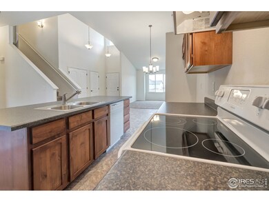 641 Mt Princeton Dr, Severance, CO 80550 - photo 5