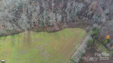 0 Linneys Mill Rd, Union Grove, NC 28689 - photo 3