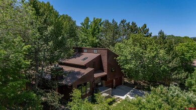 20 Jenkins Dr, Durango, CO 81301 - photo 3