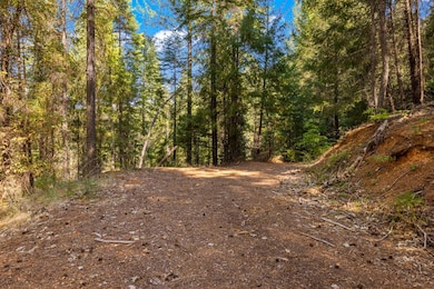 0 Drum Powerhouse Rd unit 225091514, Alta, CA 95701 - photo 5