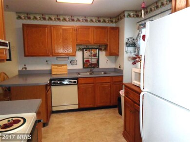 40 Livingstone Terrace, Frederick, MD 21702 - photo 5