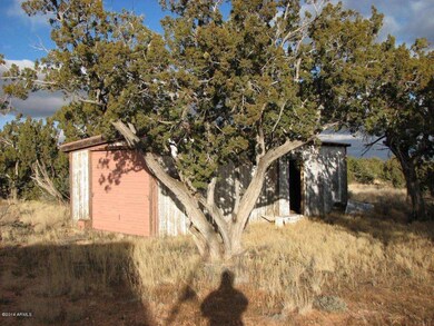 Sec.10 T14n R16e:e2 Nw4 Ne4 Se4, Overgaard, AZ 85933 - photo 5