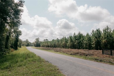 0 SE Family Rd unit Lot 1 GC500219, Lake City, FL 32025 - photo 3