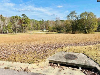 127 Deer Ridge Trail, Gilbert, SC 29054 - photo 6