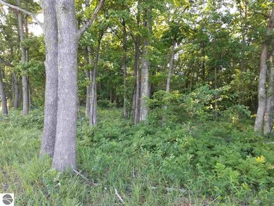 Looking at the property from across the street