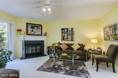 2 Steeplejack Ct, Owings Mills, MD 21117 - photo 2