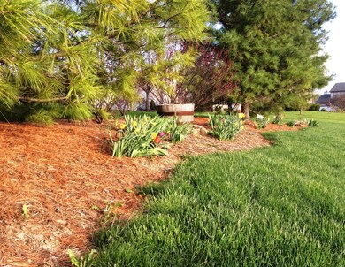 Flower Bed in Front Yard