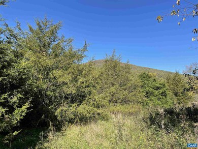 196 Hunters Point unit 11, Nellysford, VA 22958 - photo 3