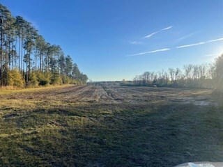 00 Satilla Church Rd, Wray, GA 31798 - photo 3