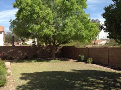Rear Yard 2.jpg