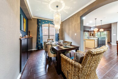 25715 Willard Path, San Antonio, TX 78261 - photo 7