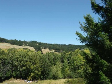 Beautiful view from patio