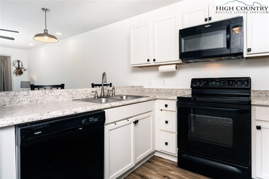 128 Zeb St unit A303, Boone, NC 28607 - photo 6