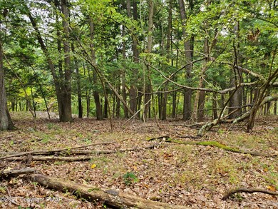 405 Stroudsmoor Rd, Stroudsburg, PA 18360 - photo 2