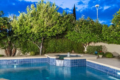 Spectacular Pebble Fina and Tile Pool