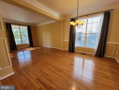 25452 Crossfield Dr, Chantilly, VA 20152 - photo 7