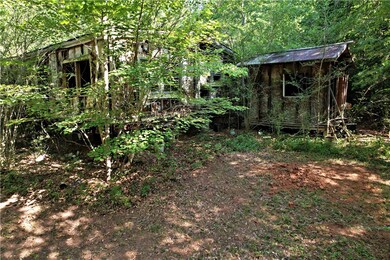 Old Home  - Future additional tiny house location.