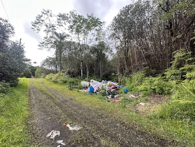 18-1272 Kauai St, Mountain View, HI 96771 - photo 4