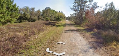 3292 Gossamer Ave, Lake Placid, FL 33852 - photo 4