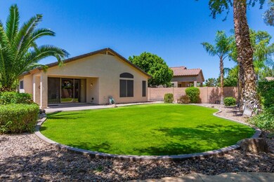 Wow - look at the backyard!